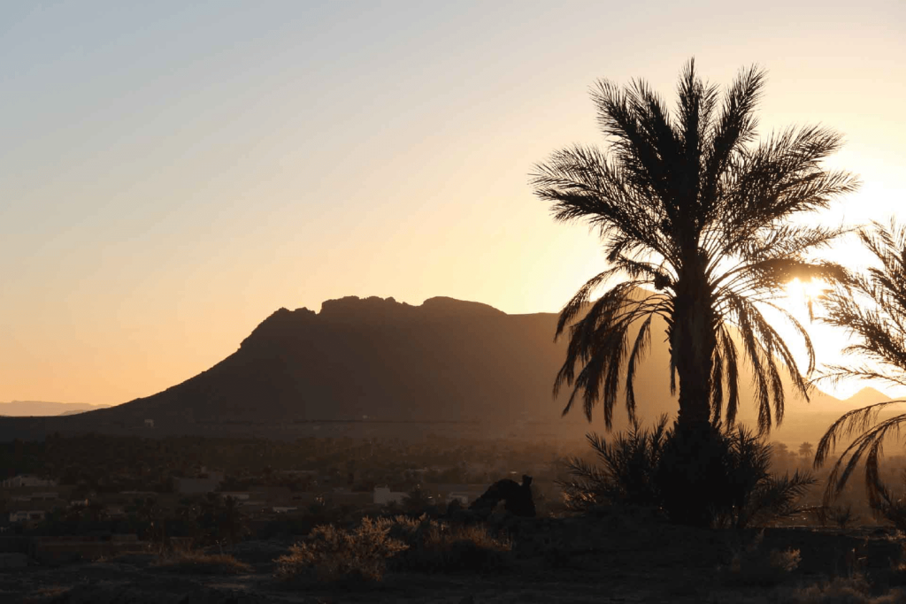 viewpoint plateau ketchine figuig in morocco