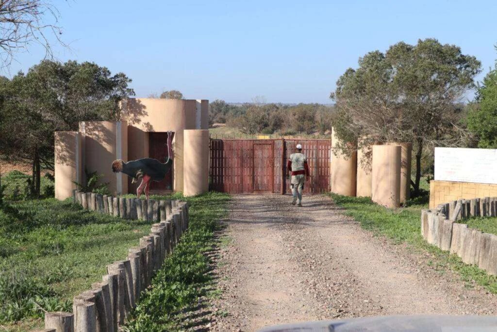 entrance rokein reserve souss-massa