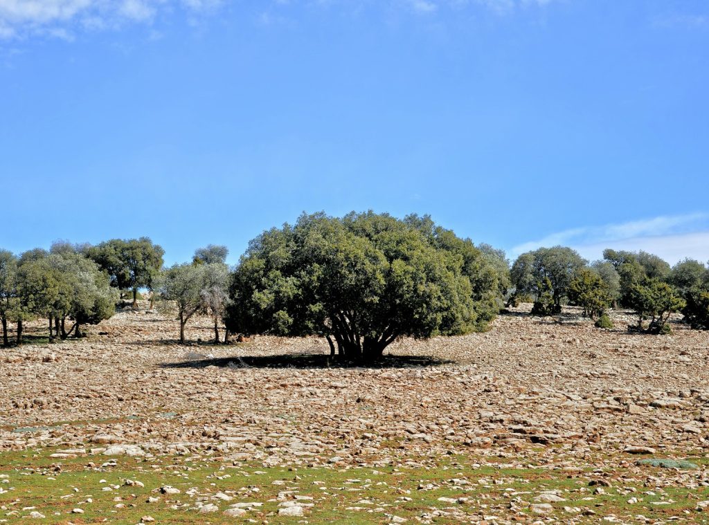 national park of souss-massa landscapes
