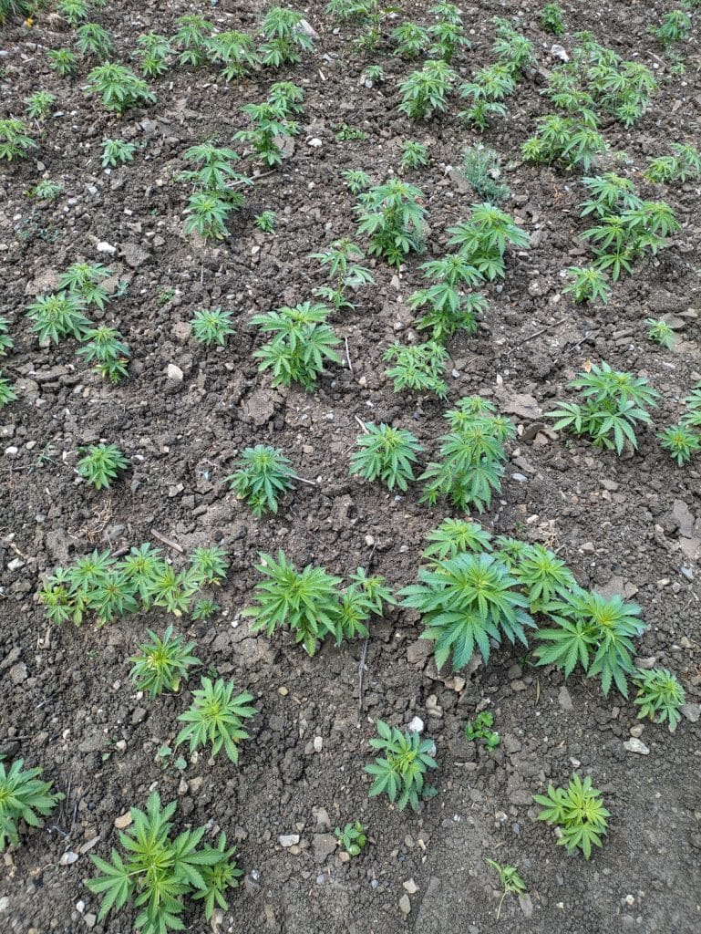 scams in morocco hash slow travel