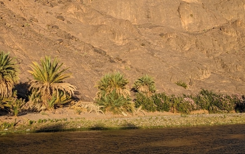 fint oasis near ouarzazate morocco guide