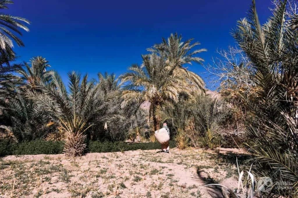local people fint oasis morocco